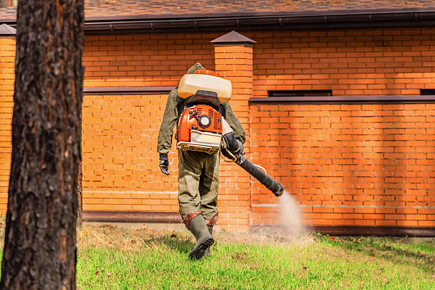 Bed Bug Clearance Verification and Documentation in Sarcoxie